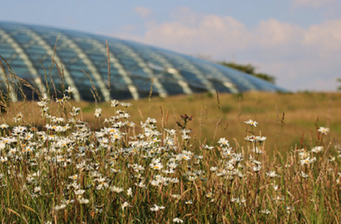 The National Botanic Garden of Wales Reopens