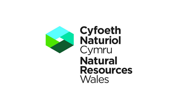 Natural Resources Wales Creates Partnership Opportunity for New Woodland in Anglesey