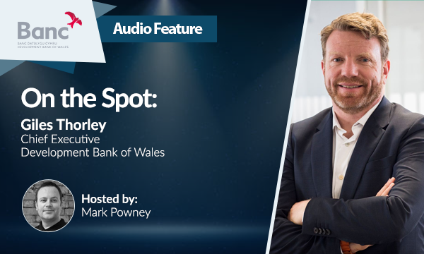on the spot - giles thorley