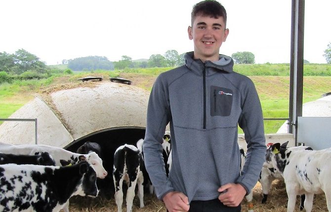 Figures Reveal Alarming Lack of Apprentices in Welsh Agriculture