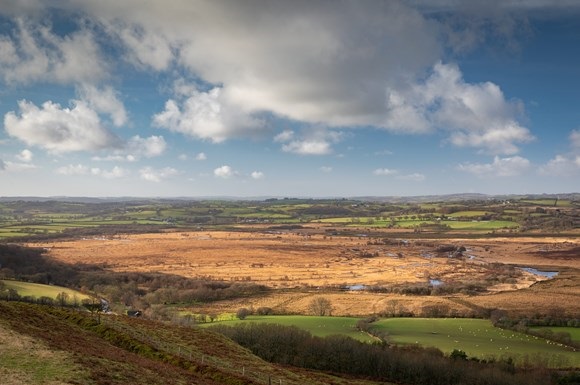 Welsh Peatland Project Joins Global Peatlands Initiative