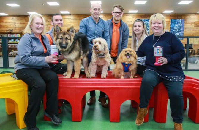 Pet Retailer and Children’s Charity Will Scale New Heights this Summer