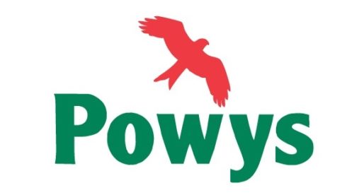 Council Sets Out Home Care Market Position in Powys