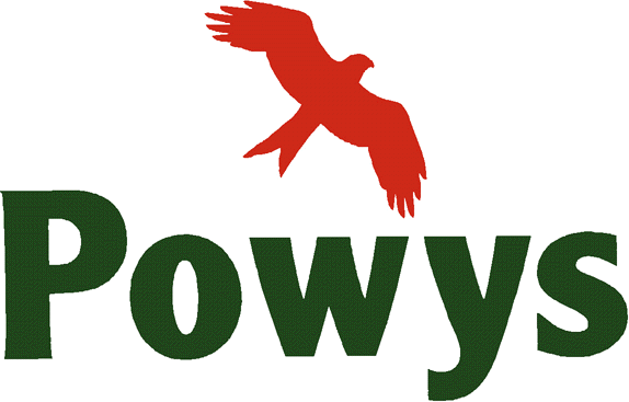 Empty Home Premium Proposed for Powys