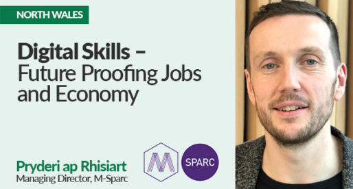 Digital skills – Future Proofing Jobs and Economy
