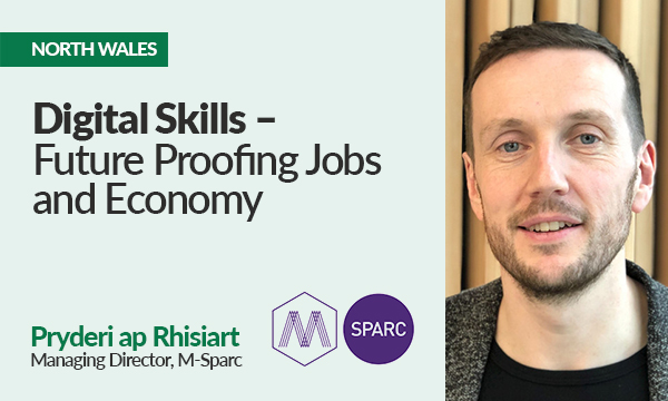 Digital skills – Future Proofing Jobs and Economy