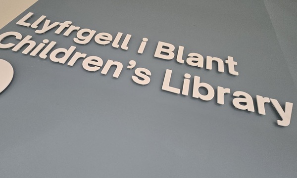 public services hub Y Storfa