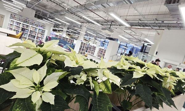 public services hub Y Storfa