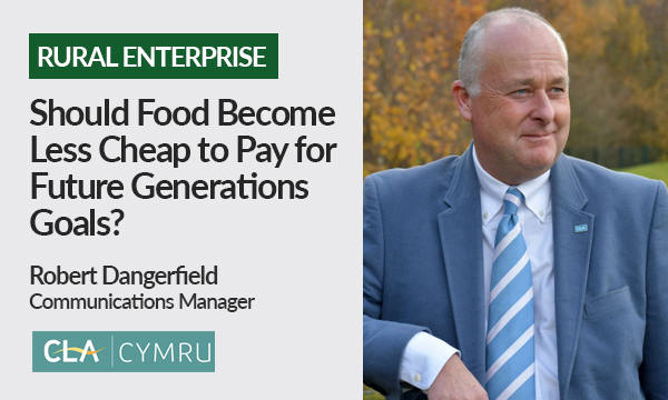 Should Food Become Less Cheap to Pay for Future Generations goals?