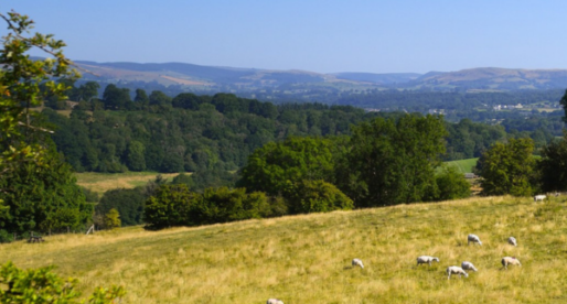First Wales Wildlife and Rural Crime Strategy to be Launched