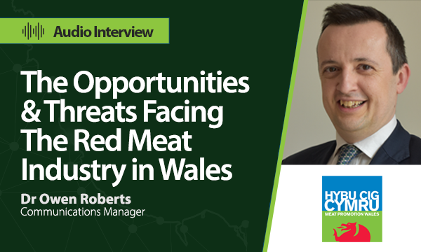 The Opportunities & Threats Facing The Red Meat Industry in Wales