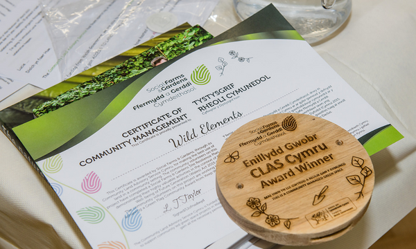 Awards Celebrate Projects That Make Effective Use of Land to Tackle the Fresh Food Crisis