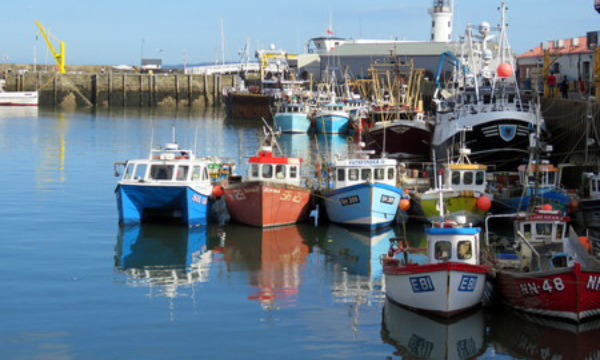£23 Million Seafood Disruption Support Scheme Now Open