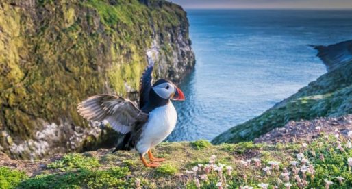 £9.8 Million Boost for Wales’ Biodiversity
