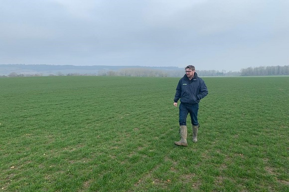 Vale of Glamorgan Crop Trial Promises Green Energy and Carbon Offsetting