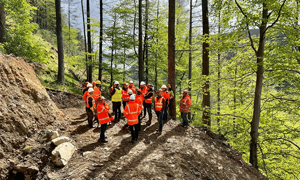 Sustainable Forestry Skills Training Programme Launches in Wales
