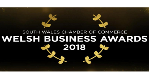 <strong> 21st February – Cardiff </strong><br>The Welsh Business Awards Gala Dinner