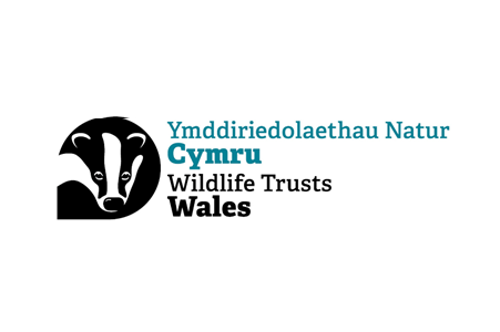 wildlife trust wales