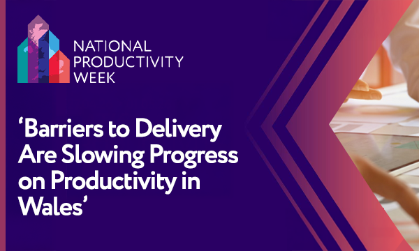 ‘Barriers to Delivery Are Slowing Progress on Productivity in Wales’
